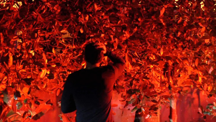 突发！热火主帅斯波豪宅遭遇大火 本人在住所外焦虑徘徊