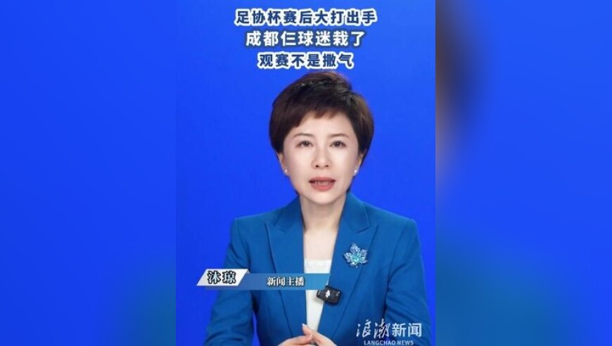 足协杯赛后大打出手 成都仨球迷栽了 观赛不是撒气