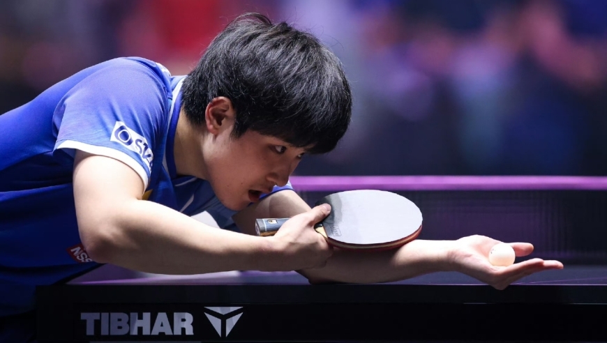 冷门！蒙彼利埃冠军赛艾利克斯勒布伦3-2逆转张本智和晋级8强，8强出炉都有谁？