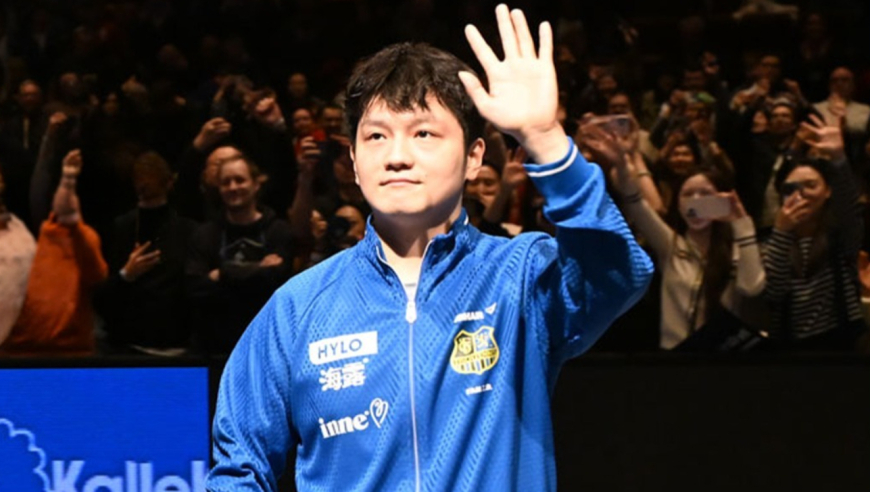 从水土不服到征服欧洲！樊振东被德甲治愈，用实力赢得尊重 | 竞者