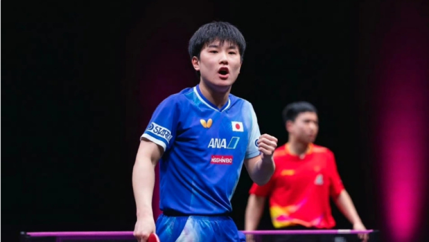 日本民众喷张本智和：大喊是在侮辱中国选手 他应是中日间的桥梁